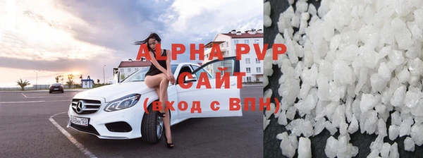 индика Белокуриха