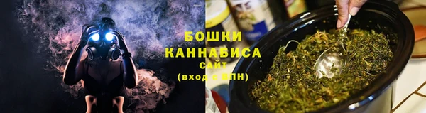 индика Белокуриха