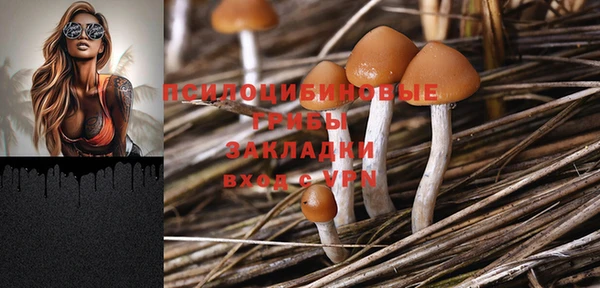 индика Белокуриха