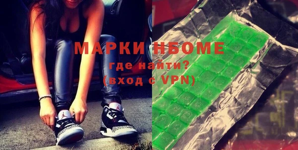 индика Белокуриха