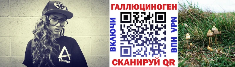 Псилоцибиновые грибы MAGIC MUSHROOMS  Кунгур 