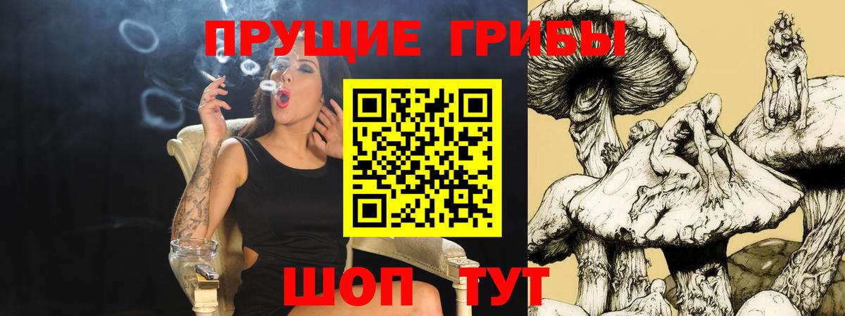 Псилоцибиновые грибы MAGIC MUSHROOMS  Вход с VPN  купить  цена  Кунгур  Галлюциногенные грибы Magic Shrooms 