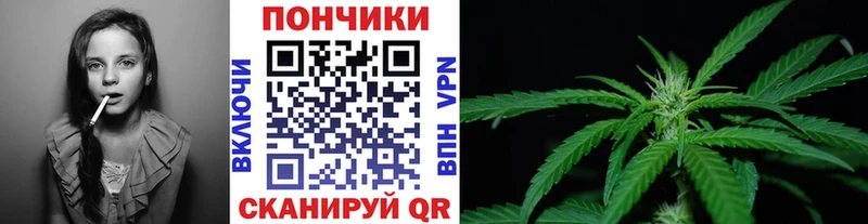 ссылка на мегу ссылки  Кунгур  Каннабис ГИДРОПОН 
